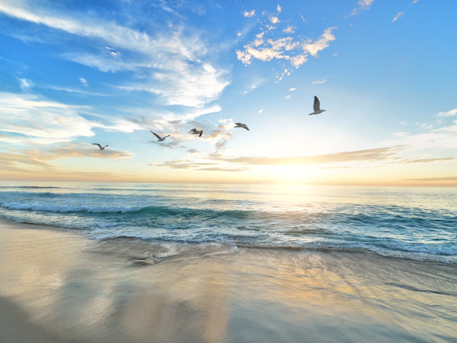 Stranden en tidlig morgen